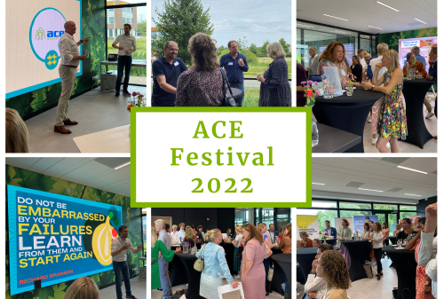 ACE Festival